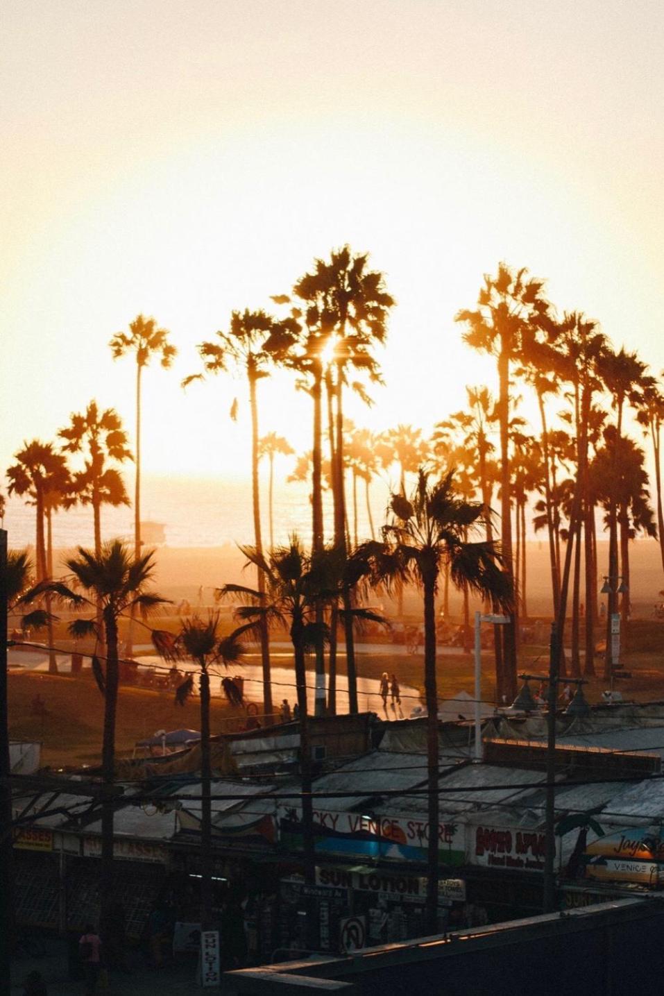 Venice Beach Studio With Large Private Patio Steps To The Beach Los Angeles Exteriér fotografie