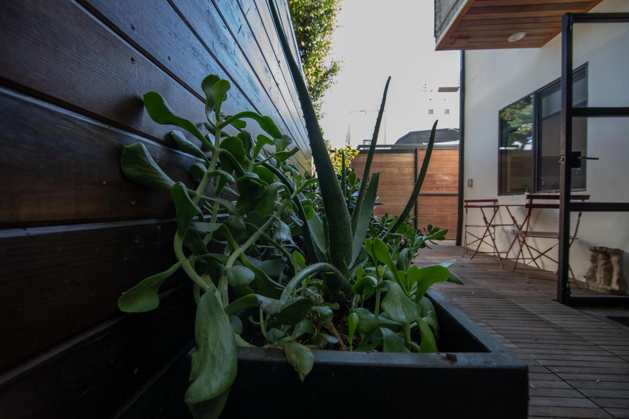 Venice Beach Studio With Large Private Patio Steps To The Beach Los Angeles Exteriér fotografie