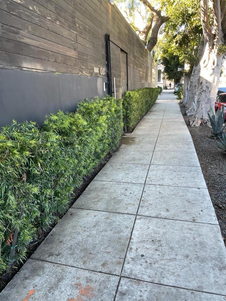 Venice Beach Studio With Large Private Patio Steps To The Beach Los Angeles Exteriér fotografie