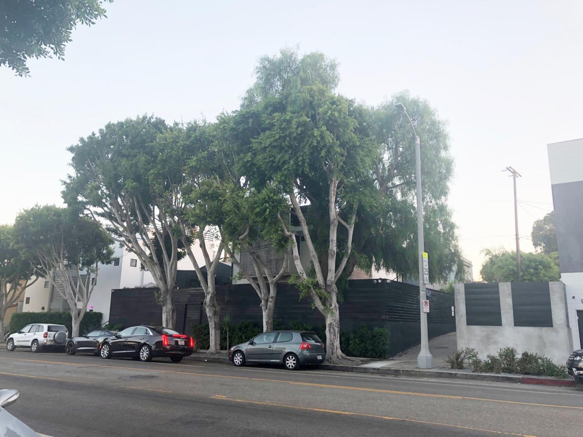 Venice Beach Studio With Large Private Patio Steps To The Beach Los Angeles Exteriér fotografie